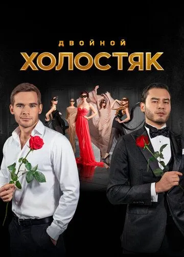 Холостяк (2013)